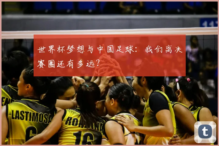 世界杯梦想与中国足球:我们离决赛圈还有多远?