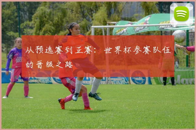 从预选赛到正赛:世界杯参赛队伍的晋级之路
